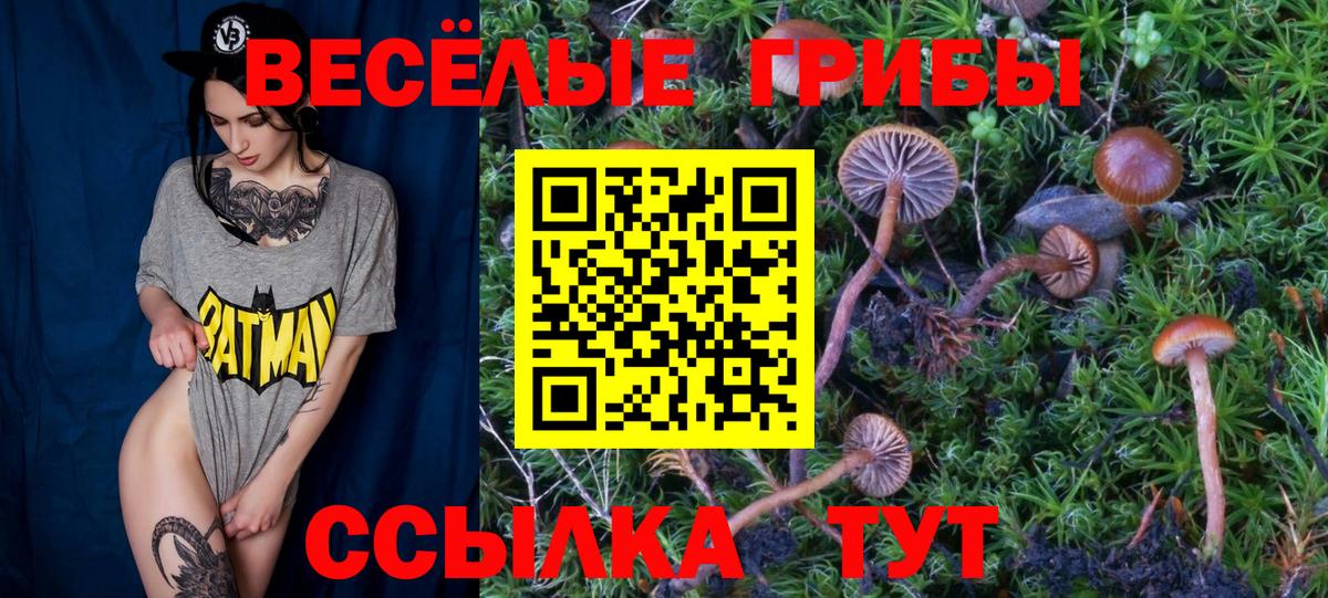 Тавда  Галлюциногенные грибы Psilocybe  Вход с VPN 